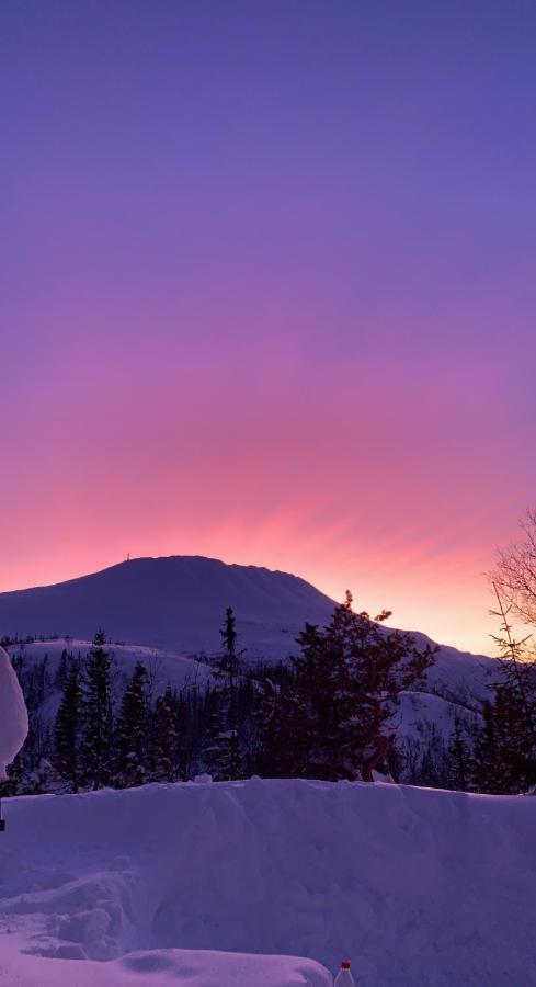 Gaustablikk Sportshytte Midt I Naturen Rjukan Extérieur photo